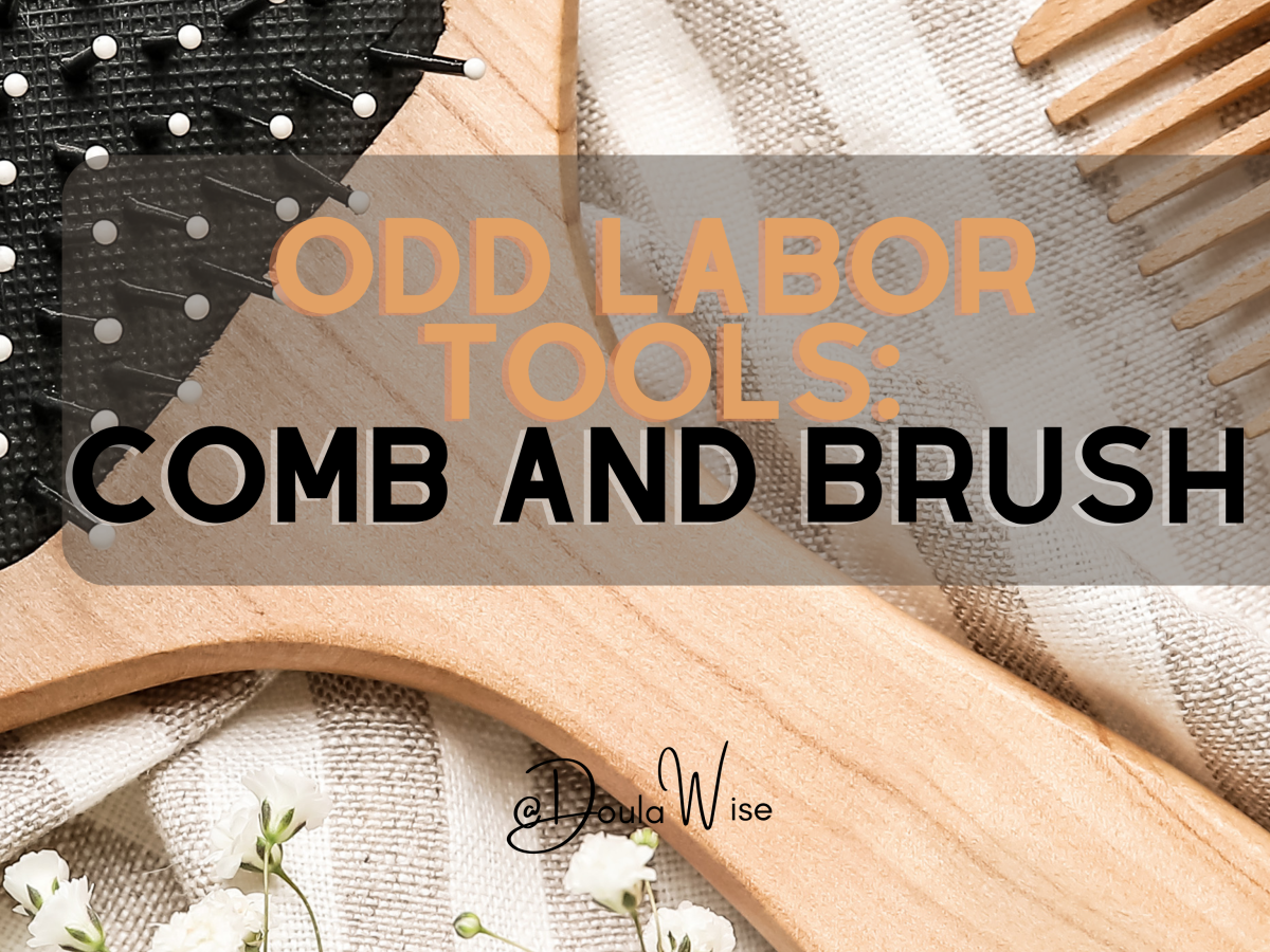 Odd Labor Tools: Combs and Brushes